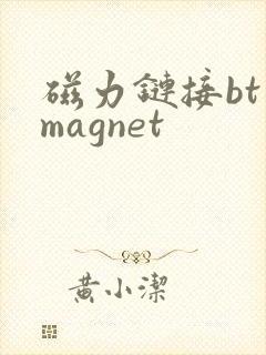 磁力链接bt magnet