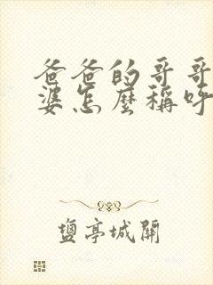 爸爸的哥哥的老婆怎么称呼?