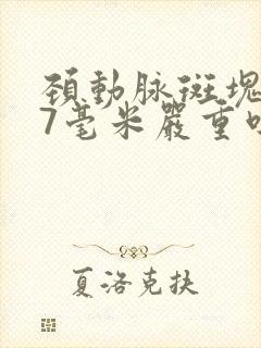 颈动脉斑块1.7毫米严重吗