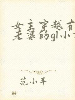 女主穿越有很多老婆的gl小说