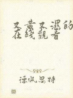 又黄又湿的网站在线观看