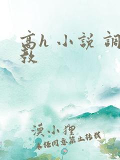高h 小说 调教