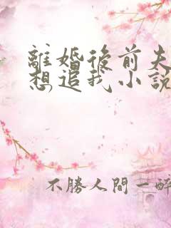 离婚后前夫总是想追我小说在线阅读