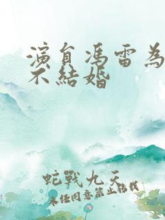 演员冯雷为什么不结婚