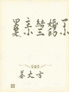 男主结婚了女主是小三的小说