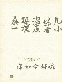 桑延温以凡的第一次原著小说叫什么