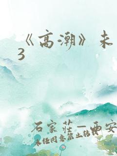 《高潮》未删减3