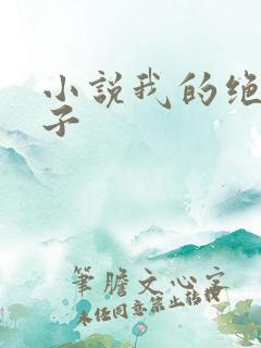 小说我的绝色妻子