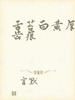 舌苔白黄厚腻有齿痕