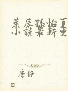 叶辰孙怡夏若雪小说最新更新