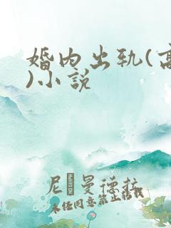 婚内出轨(高h)小说