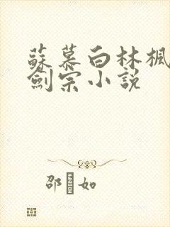 苏慕白林枫神霄剑宗小说