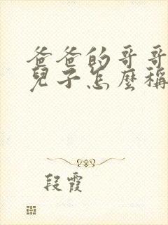 爸爸的哥哥家的儿子怎么称呼