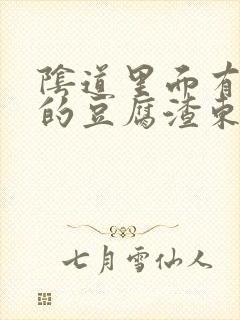 阴道里面有白色的豆腐渣东西还痒