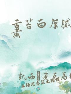 舌苔白厚腻有点黄