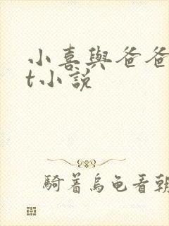 小喜与爸爸txt小说