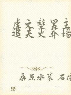 虐文双男主小说追夫火葬场