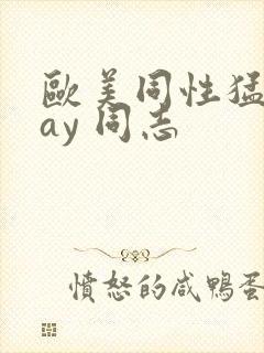 欧美同性猛男gay 同志