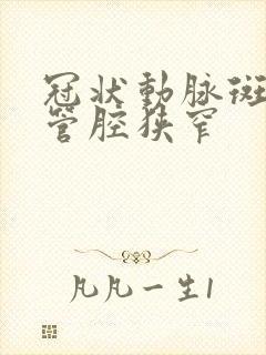 冠状动脉斑块并管腔狭窄