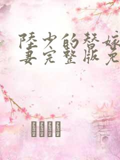 陆少的替嫁小娇妻完整版免费阅读