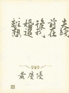 离婚后前夫总是想追我在线阅读