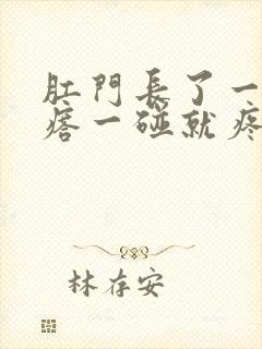 肛门长了一个疙瘩一碰就疼