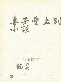 妻子爱上别人的小说