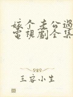 嫁个老公过日子电视剧全集免费