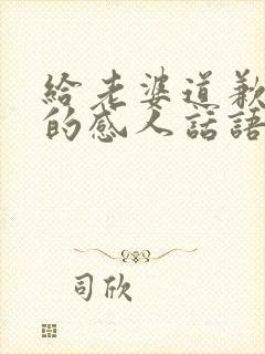 给老婆道歉认错的感人话语