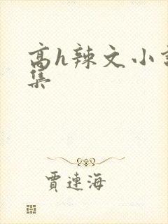 高h辣文小说合集