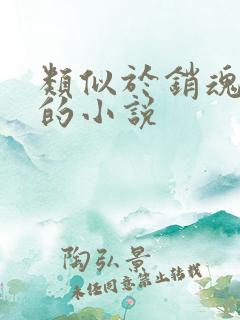 类似于销魂艳婢的小说