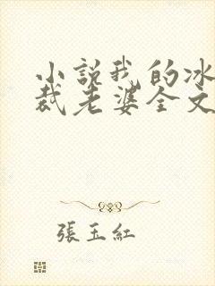 小说我的冰山总裁老婆全文阅读