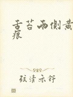 舌苔两侧黄有齿痕