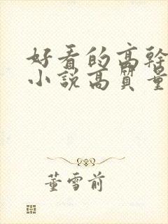 好看的高干言情小说高质量文笔好