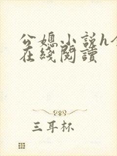 公媳小说h全版在线阅读