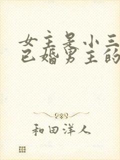 女主是小三勾搭已婚男主的文