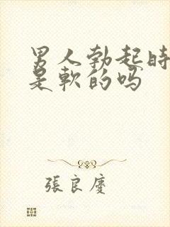 男人勃起时龟头是软的吗