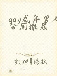 gay成年男人公厕撒尿