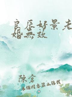 良辰好景老婆离婚无效