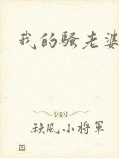 我的骚老婆小说