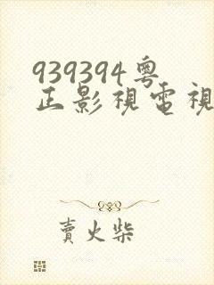 939394粤正影视电视剧
