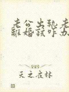 老公出轨老婆要离婚该咋办