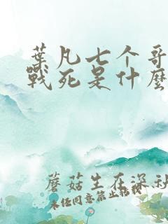 叶凡七个哥哥被战死是什么小说