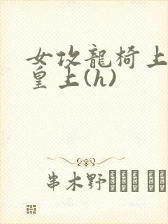 女攻龙椅上玩弄皇上(h)