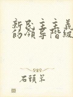 新民主主义革命的领导阶级是(