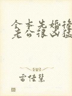 全本先婚后爱:老公很凶猛