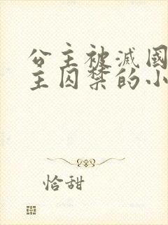 公主被灭国被男主囚禁的小说