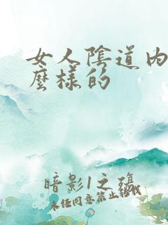 女人阴道内是什么样的