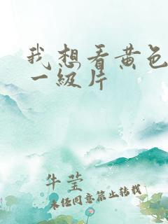 我想看黄色录像一级片