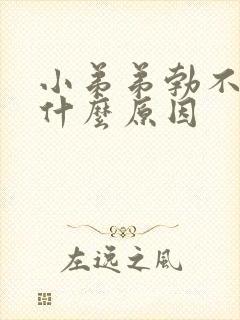 小弟弟勃不起来什么原因